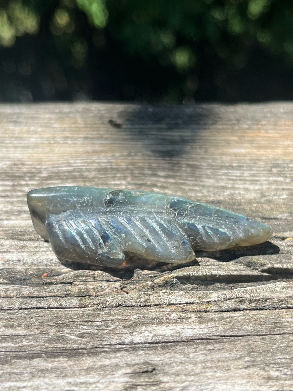 Labradorite Feather - Picture 4 of 4